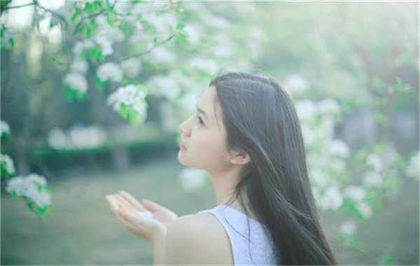 三乡镇验血查男女几周可以验(验血查男女结果图)